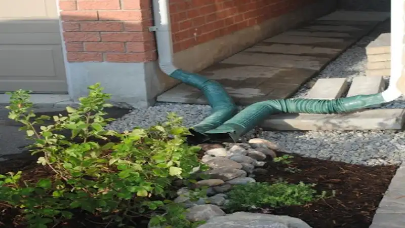 How Roof Runoff Affects Your Yard